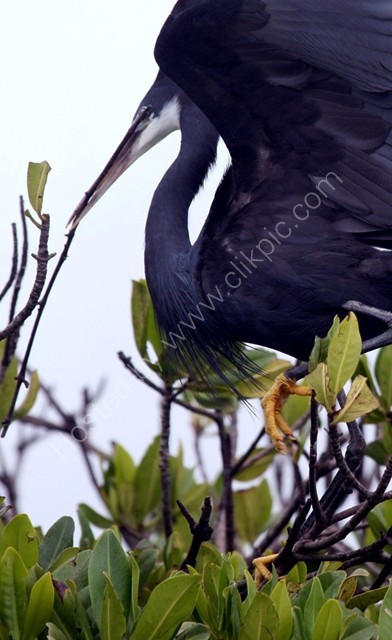 Casamance 21